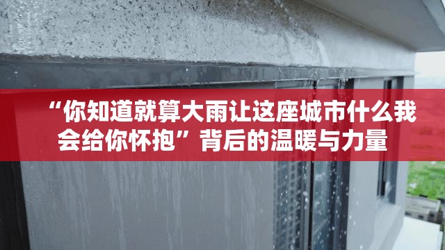 “你知道就算大雨让这座城市什么我会给你怀抱”背后的温暖与力量