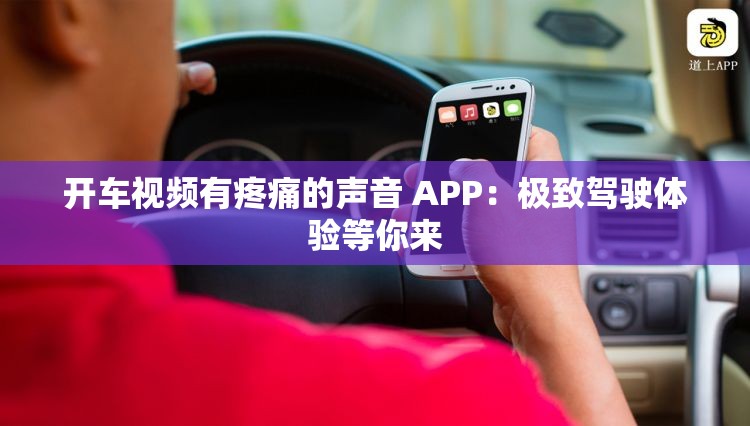 开车视频有疼痛的声音 APP：极致驾驶体验等你来