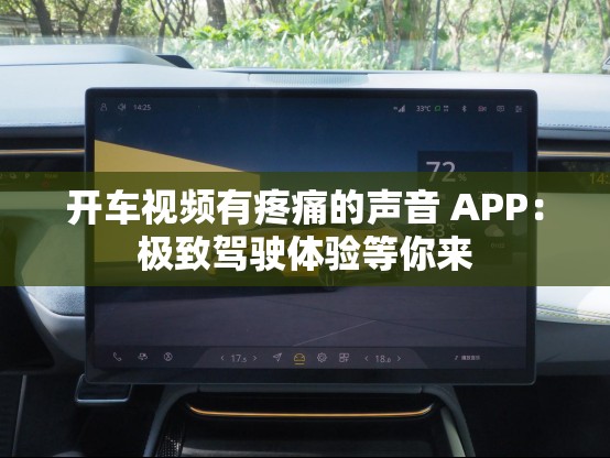 开车视频有疼痛的声音 APP：极致驾驶体验等你来