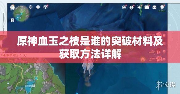 原神血玉之枝是谁的突破材料及获取方法详解